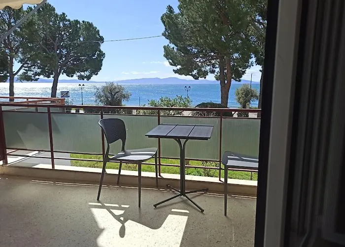 Lovely Beachfront Studio